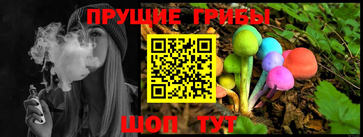 купить наркоту  Вход с VPN  Йошкар-Ола  Галлюциногенные грибы Psilocybe 